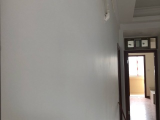 墙、顶面腻子批嵌