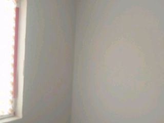 墙、顶面乳胶漆