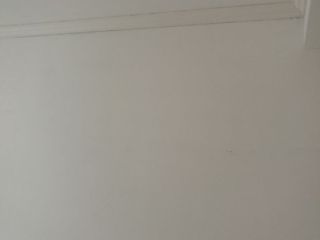 现场木制品造型施作