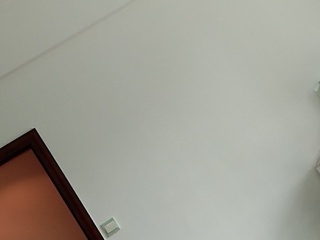 墙、顶面腻子批嵌