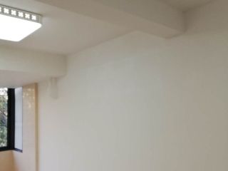 墙、顶面腻子批嵌