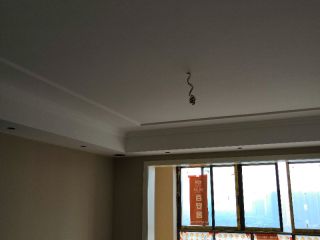 墙、顶面乳胶漆
