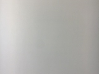 墙、顶面腻子批嵌
