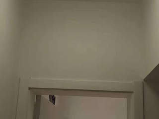 成品门及墙纸铺贴