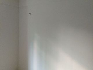 厨房、卫生间墙砖施作