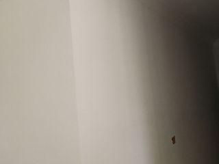墙、顶面腻子批嵌