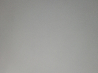 墙、顶面腻子批嵌