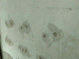 日常巡检