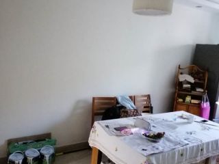 竣工验收