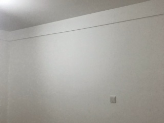 墙、顶面腻子批嵌