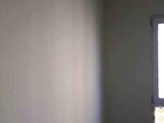 墙、顶面乳胶漆