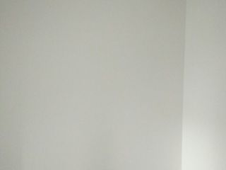 墙、顶面乳胶漆