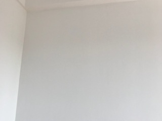 墙、顶面腻子批嵌