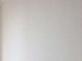 墙、顶面乳胶漆