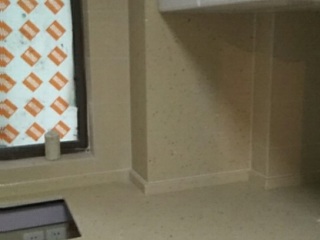 竣工验收