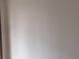 墙、顶面腻子批嵌