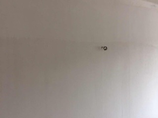 墙、顶面腻子批嵌