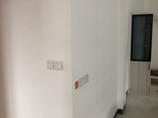 墙、顶面乳胶漆