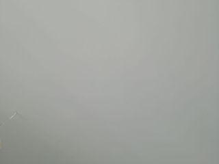 墙、顶面腻子批嵌