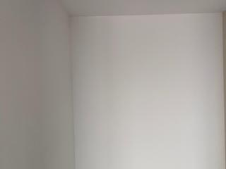 现场背景墙及隔墙施作