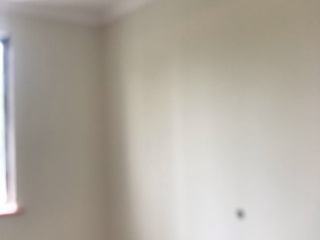 墙、顶面乳胶漆