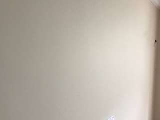 墙、顶面乳胶漆