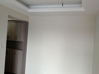 墙、顶面乳胶漆
