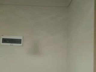 墙、顶面腻子批嵌