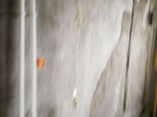 日常巡检