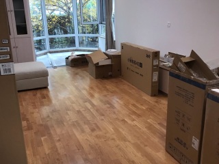 墙、顶面乳胶漆