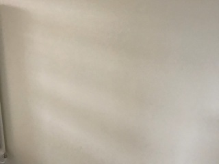 墙、顶面乳胶漆