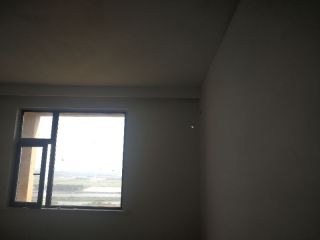 墙、顶面腻子批嵌