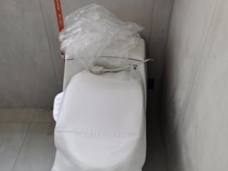 墙、顶面乳胶漆
