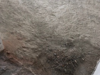 日常巡检