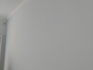 墙、顶面乳胶漆