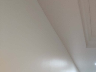 墙、顶面乳胶漆