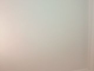 墙、顶面乳胶漆