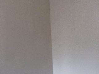 墙、顶面乳胶漆