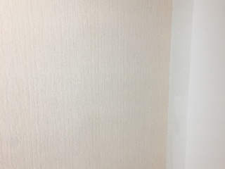 现场背景墙及隔墙施作