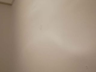 墙、顶面腻子批嵌