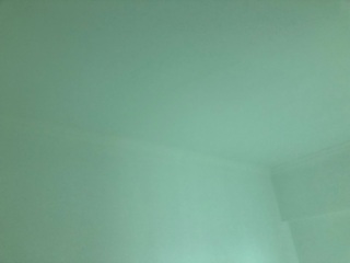 墙、顶面乳胶漆