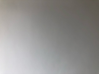 墙、顶面腻子批嵌