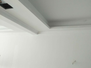 墙、顶面腻子批嵌