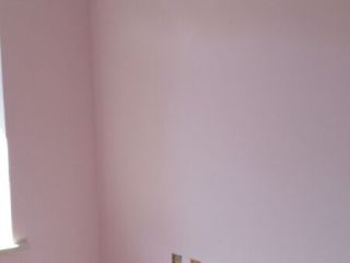 墙、顶面乳胶漆