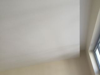 墙、顶面乳胶漆