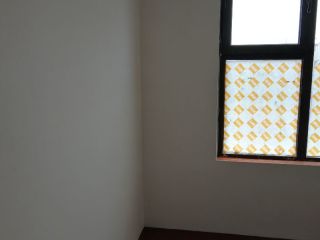 墙、顶面腻子批嵌