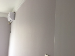 墙、顶面乳胶漆