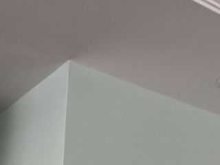 墙、顶面乳胶漆
