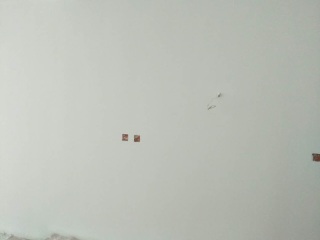 墙、顶面腻子批嵌