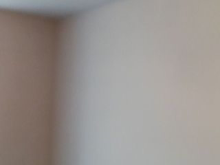 墙、顶面乳胶漆